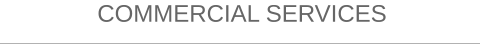 COMMERCIAL SERVICES