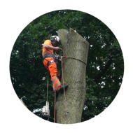 Tree Removal Wakefield