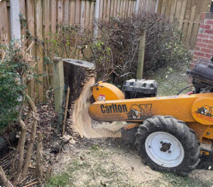 Stump Removal Wakefield