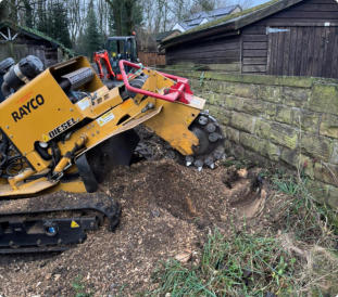 Tree stump and tree root removal Wakefield