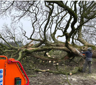 Tree Surgeon Wakefield