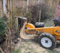 Tree Sump Removal Wakefield
