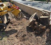 Stump Grinding Wakefield